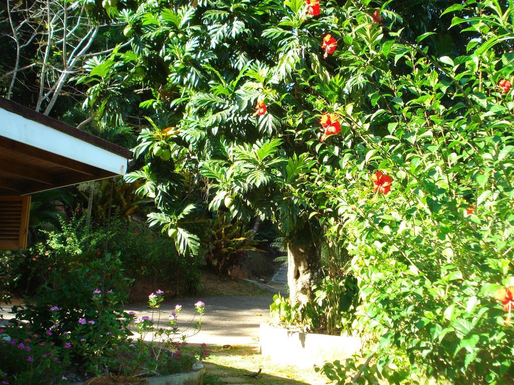 טקמק Cote Sud - Unique Villa & Bungalows Intendance Road חדר תמונה